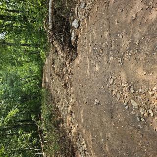Storm Damage Between 7/29/2023 and 8/14/2023